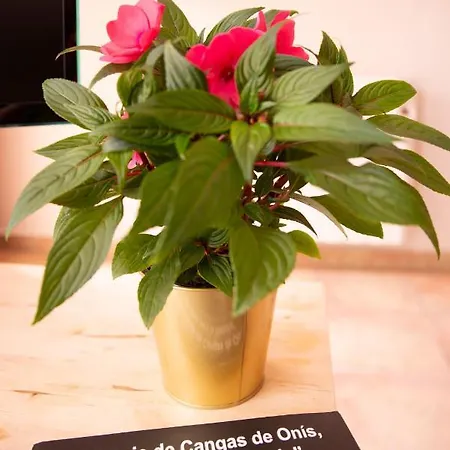 Appartamento Aldea Del Puente